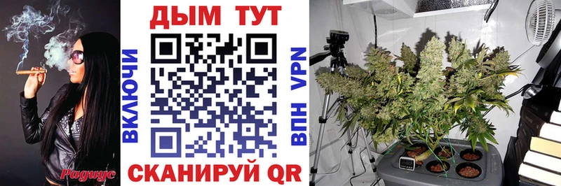 Виды наркоты Ветлуга Гашиш МАРИХУАНА NBOMe Меф мяу мяу Кокаин A PVP МЕТАДОН