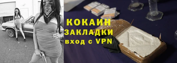 трава Аркадак