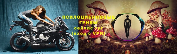 трава Аркадак
