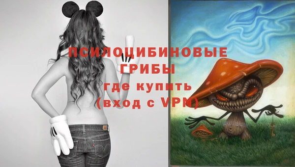 трава Аркадак